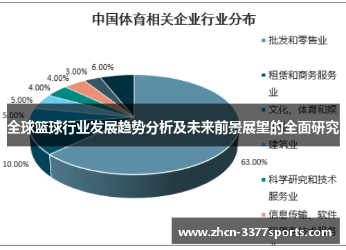 全球篮球行业发展趋势分析及未来前景展望的全面研究