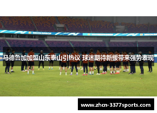 马德鲁加加盟山东泰山引热议 球迷期待新援带来强势表现
