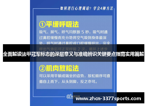 全面解读法甲冠军标志的深层意义与准确辨识关键要点指南实用篇解