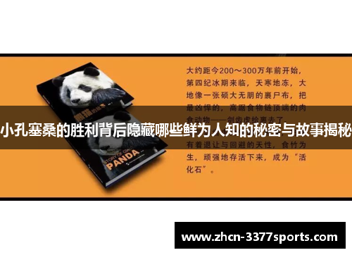 小孔塞桑的胜利背后隐藏哪些鲜为人知的秘密与故事揭秘