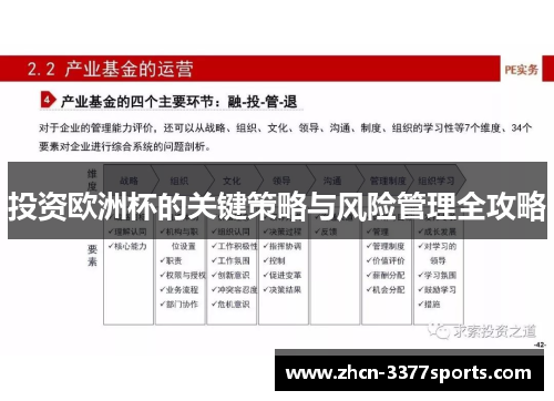 投资欧洲杯的关键策略与风险管理全攻略