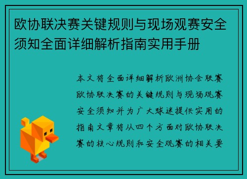 欧协联决赛关键规则与现场观赛安全须知全面详细解析指南实用手册