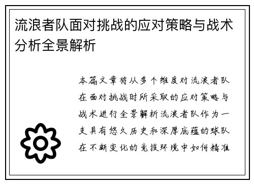 流浪者队面对挑战的应对策略与战术分析全景解析
